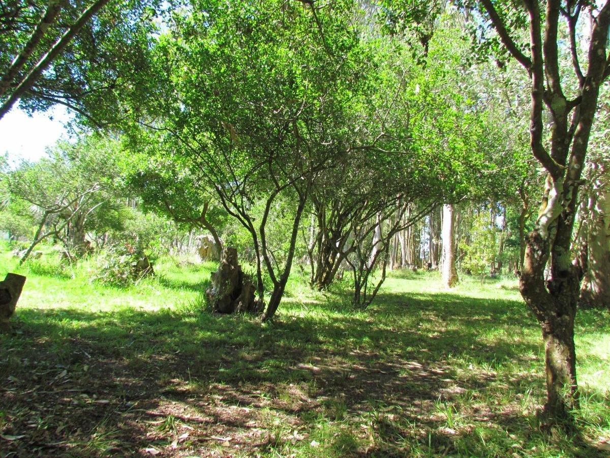 La Posta De La Laguna La Paloma Exterior photo